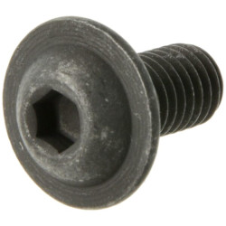 Ovalios galvutės varžtas X466024301000