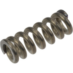 Blokavimo spyruoklė 012100090080