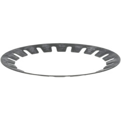 Pavasaris 205301020370