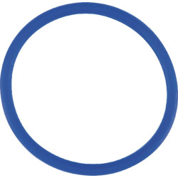 O formos žiedas F168302020520