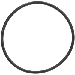 O formos žiedas 93x4 mm Fendt X548977501000