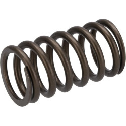 Suspaudimo spyruoklė 04200150