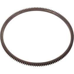 Starterio žiedas V835328783