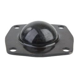 Guolio dangtelis Baltarusija 501601089