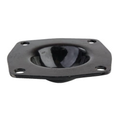 Guolio dangtelis Baltarusija 501601089