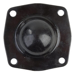 Guolio dangtelis Baltarusija 501601089