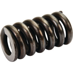 Pavasaris Baltarusija 501602032N