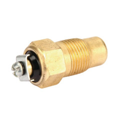 Baltarusijos temperatūros jutiklis TM100WN