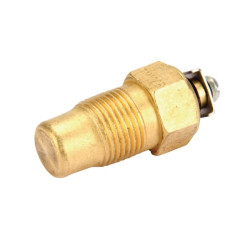 Baltarusijos temperatūros jutiklis TM100WN