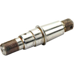 Vairo cilindro kaištis 128/20X1 F803405101B