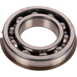 Rutuliniai guoliai (1 žiedas) CI026160