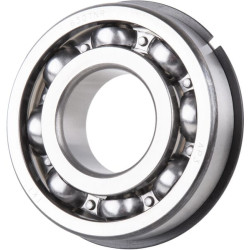 Rutuliniai guoliai (1 žiedas) CI026188