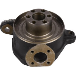 Pasukamas korpusas LH 019834 CI479721