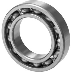 Rutuliniai guoliai CI146670