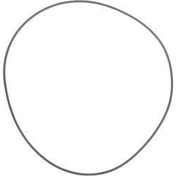 O formos žiedas CI133759