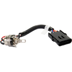 Potenciometras 299930A1