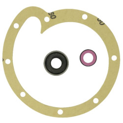 Vandens siurblio remonto komplektas Case - IH 3055285R95