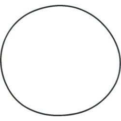 O formos žiedas Case-IH 2386274