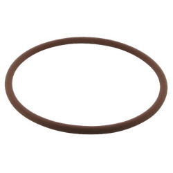 Galinės ašies stabdžių O formos žiedas 3230854R1