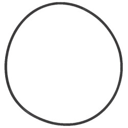 O formos žiedas 1286081C1