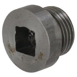 Karterio kamštis CNH 3132544R2