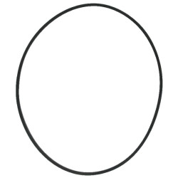 Hidraulinės alyvos filtro sandariklis 405462R1