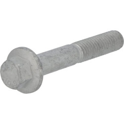 Šešiakampis varžtas 01181431