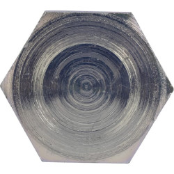 Laikantysis varžtas F716300131010