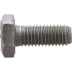 Varžtas su dangteliu X487531506000