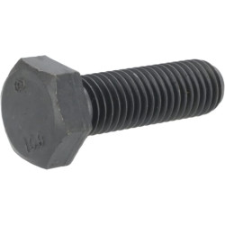 Varžtas su dangteliu X487541106000