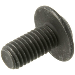 Ovalios galvutės varžtas X466024301000