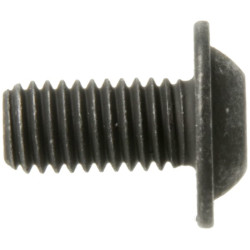 Ovalios galvutės varžtas X466024301000