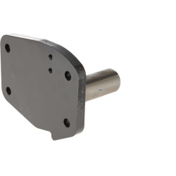 Guolio kaištis H931700030050