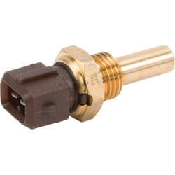 Jutiklis H312900020010