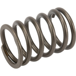 Vožtuvo spyruoklė F139207210180