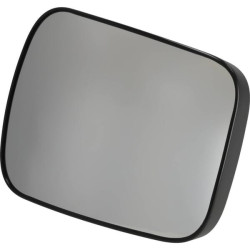 Galinio vaizdo veidrodėlis AL221772