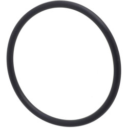 Kuro siurblio sandariklis R128799