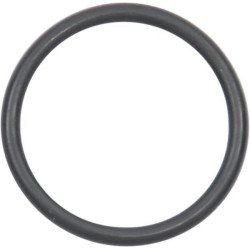 O formos žiedas 366433X1