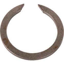 Sąvaržėlė A21619