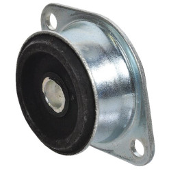 Amortizatorius 000752460