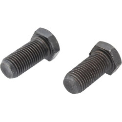 Reguliavimo varžtas 1853164M1KR