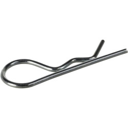 Linčo pavasaris 20171032