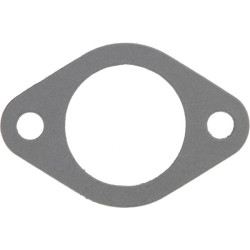 Įleidimo kolektoriaus tarpinė 55010508