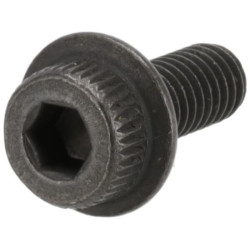 Varžtas M4x10 329983