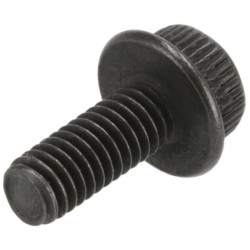 Varžtas M4x10 329983