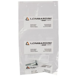 Lombardini banžos varžtas 1901193