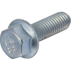 M8 x 25 flanšo varžtas 187Q0110020