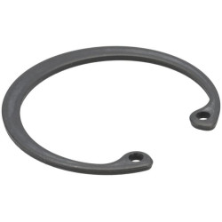 Fiksavimo žiedas 42 22252000420