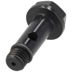 Banžo varžtas 00006700206