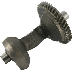 Svorio balansavimo įrenginys 13351ZE2010